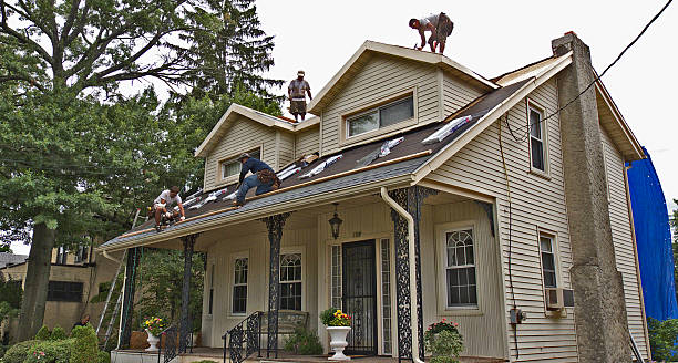 Best Gutter Installation and Roofing  in Waynesboro, TN